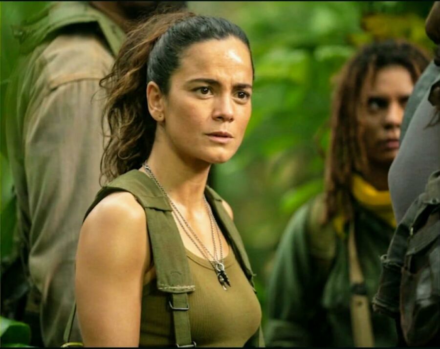 Imagem Alice Braga